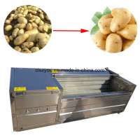 Industrial Brush Type Root Vegetable Washing Peeling Machine